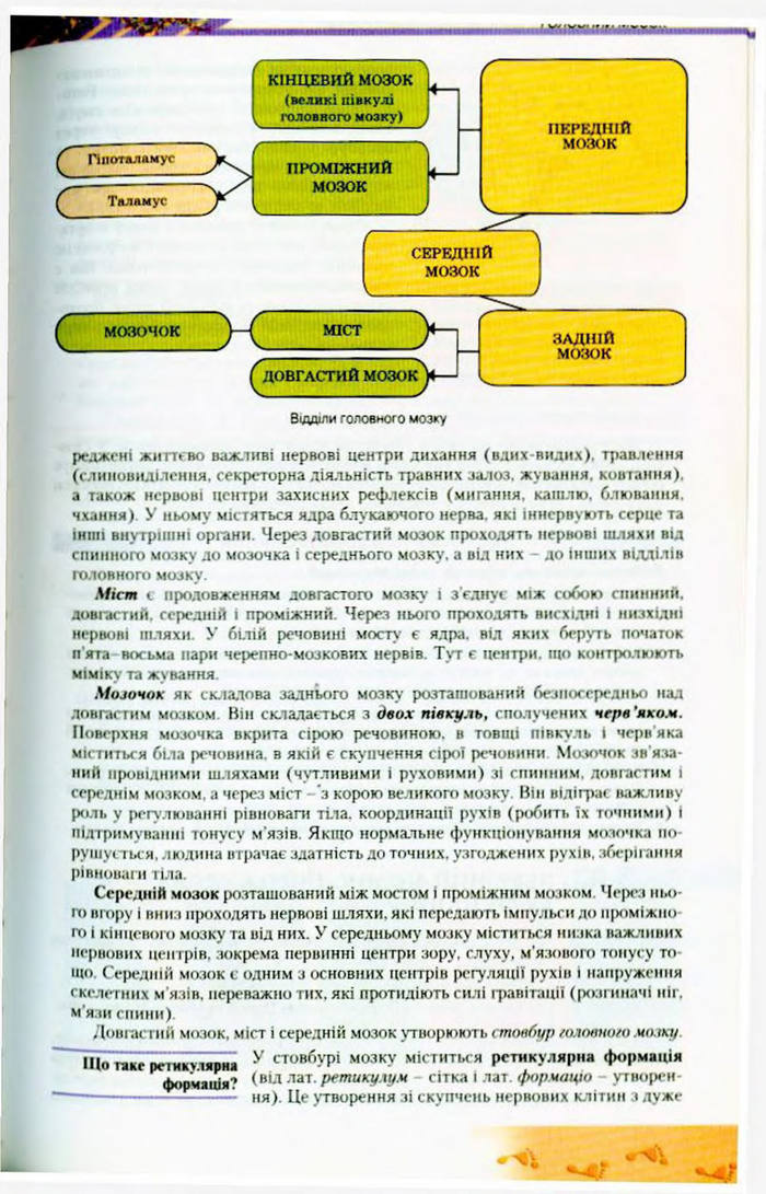 Біологія 9 клас Матяш