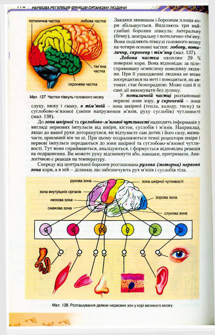 Біологія 9 клас Матяш