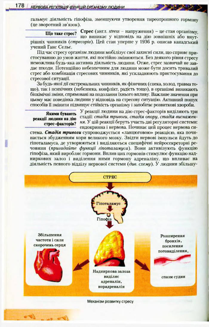 Біологія 9 клас Матяш