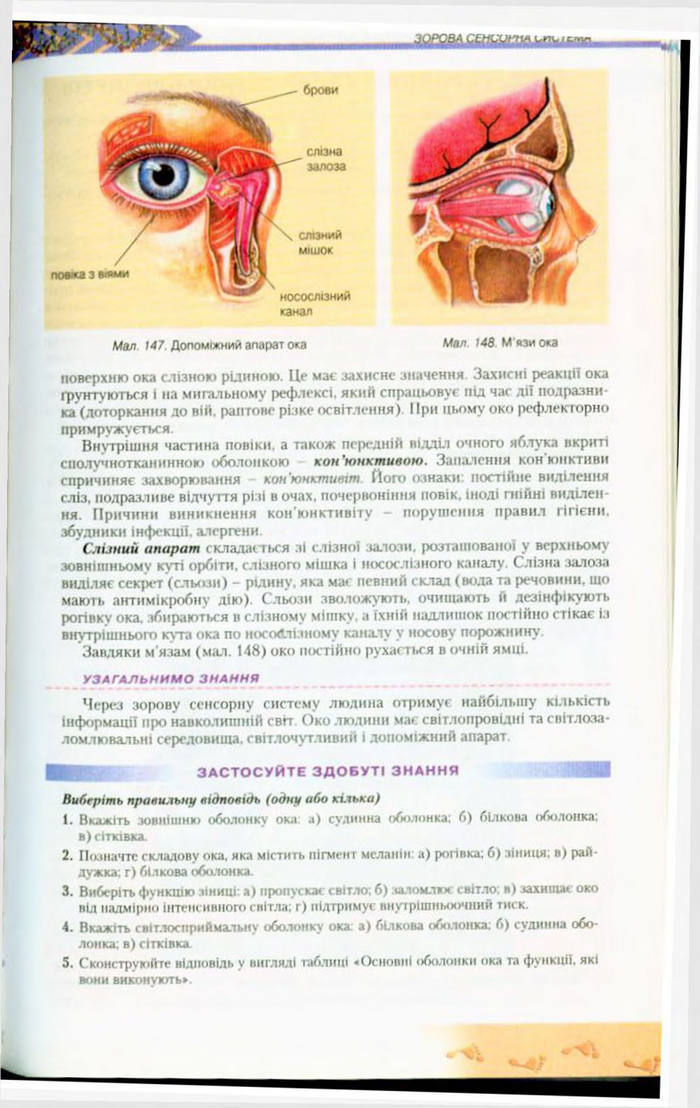 Біологія 9 клас Матяш