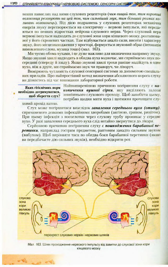 Біологія 9 клас Матяш