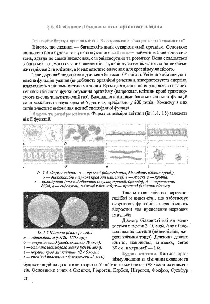Біологія 9 клас Степанюк