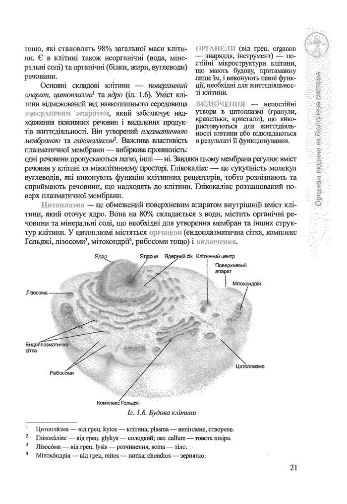 Біологія 9 клас Степанюк