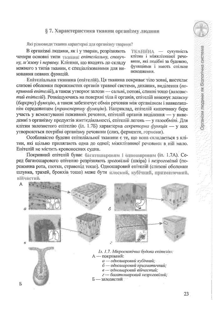 Біологія 9 клас Степанюк