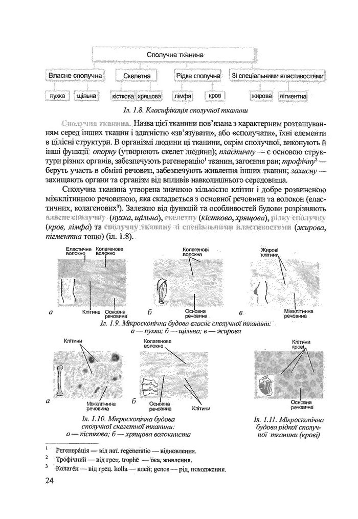 Біологія 9 клас Степанюк