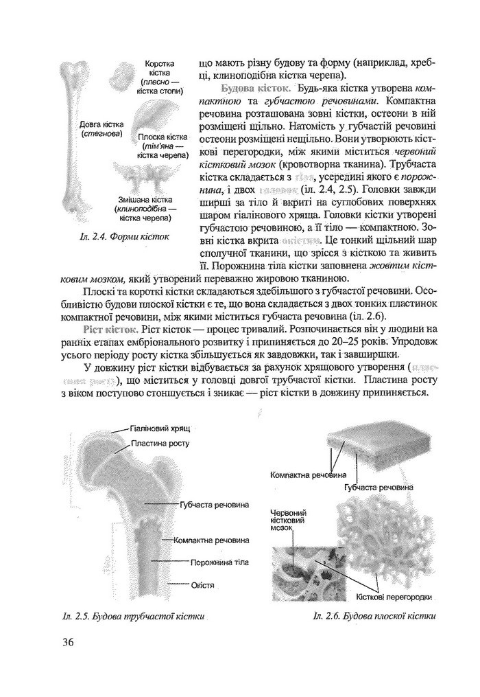 Біологія 9 клас Степанюк