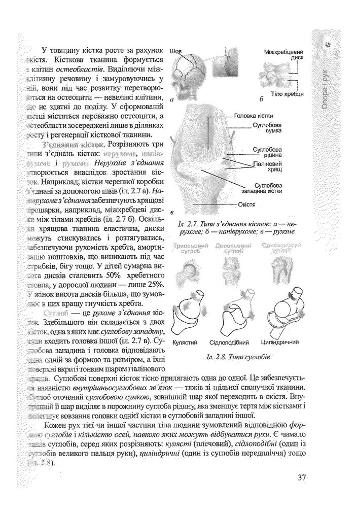 Біологія 9 клас Степанюк