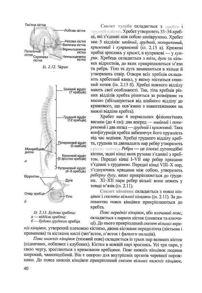 Біологія 9 клас Степанюк