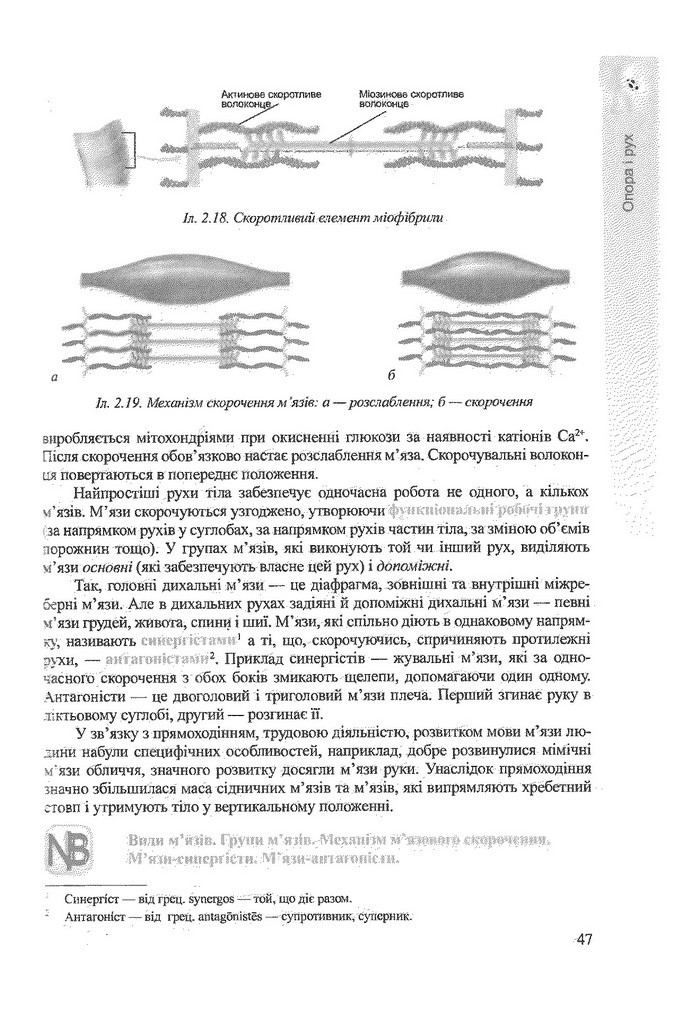 Біологія 9 клас Степанюк