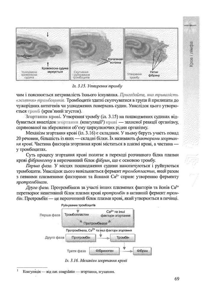 Біологія 9 клас Степанюк