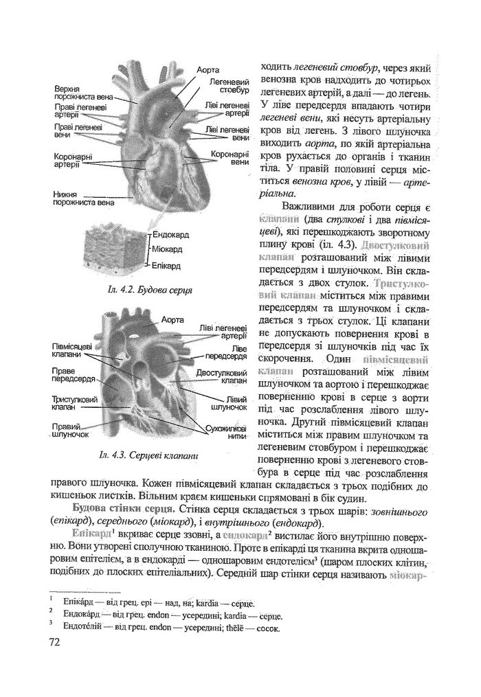 Біологія 9 клас Степанюк