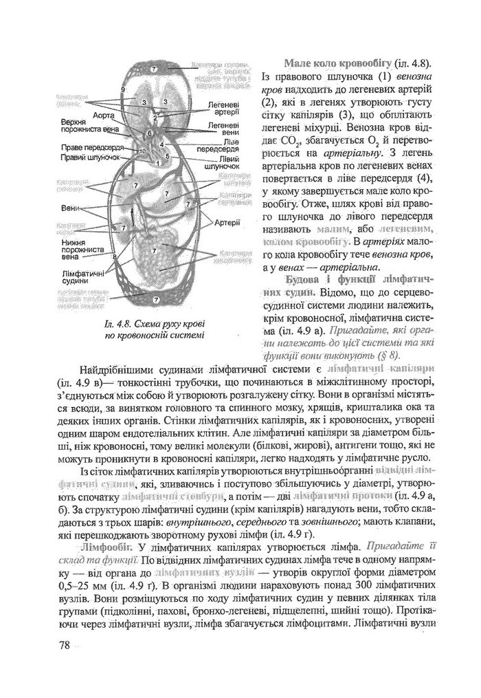 Біологія 9 клас Степанюк