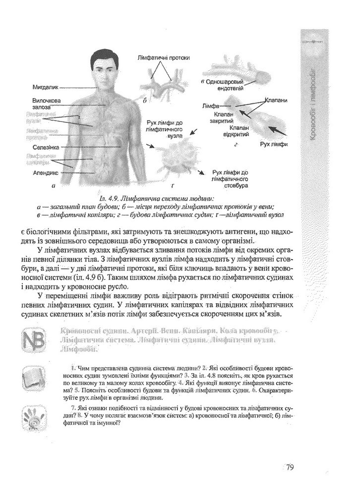 Біологія 9 клас Степанюк