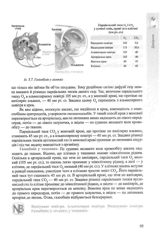 Біологія 9 клас Степанюк