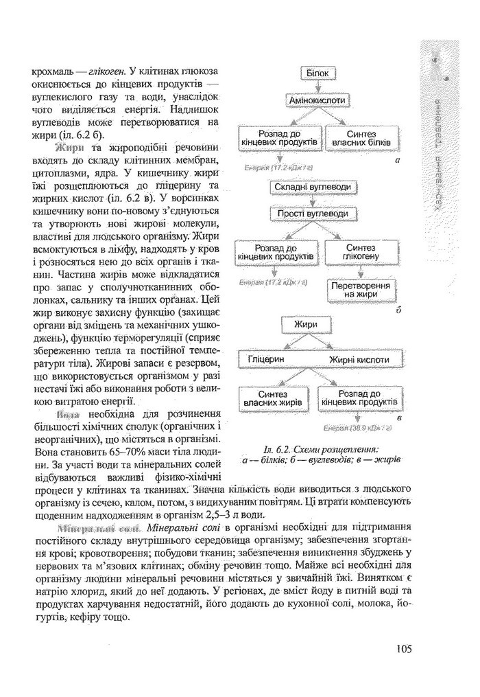 Біологія 9 клас Степанюк