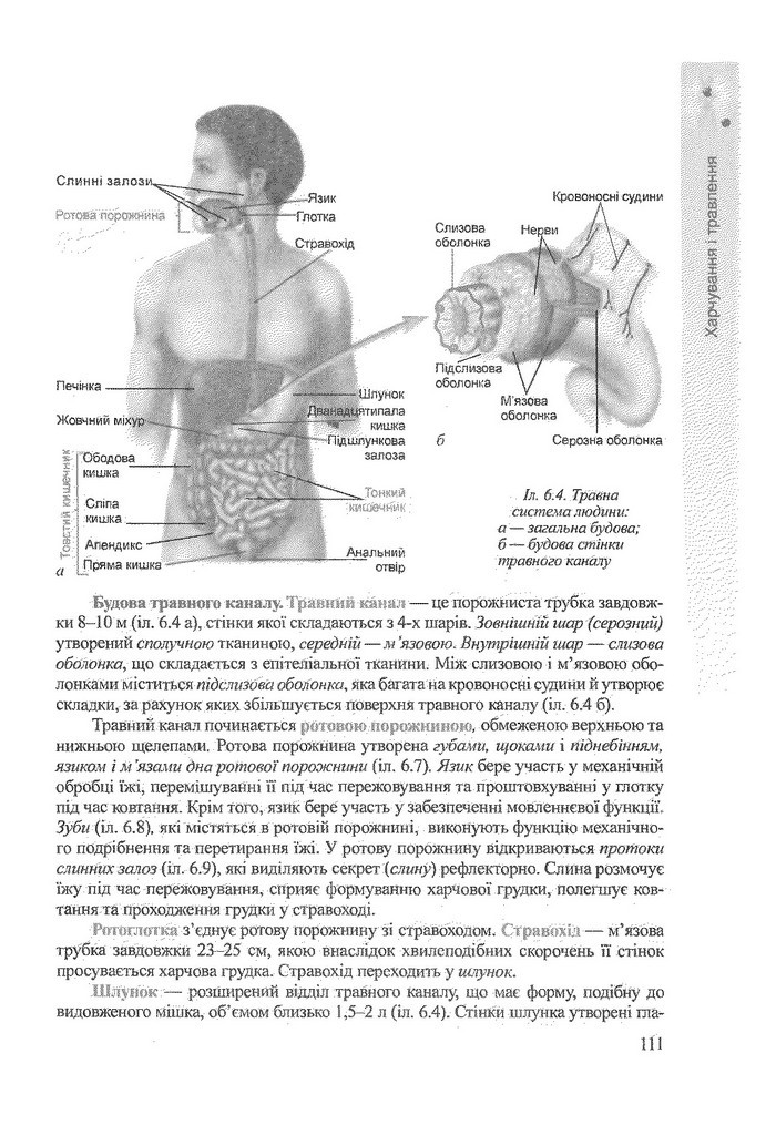 Біологія 9 клас Степанюк