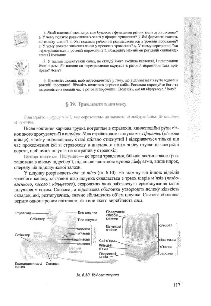 Біологія 9 клас Степанюк