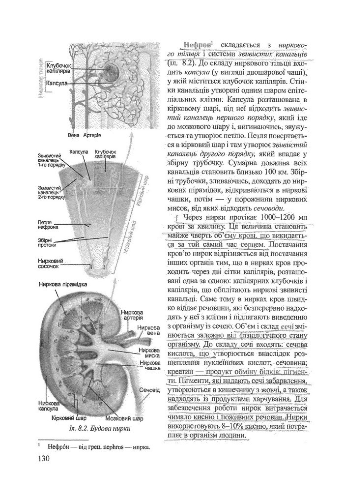 Біологія 9 клас Степанюк