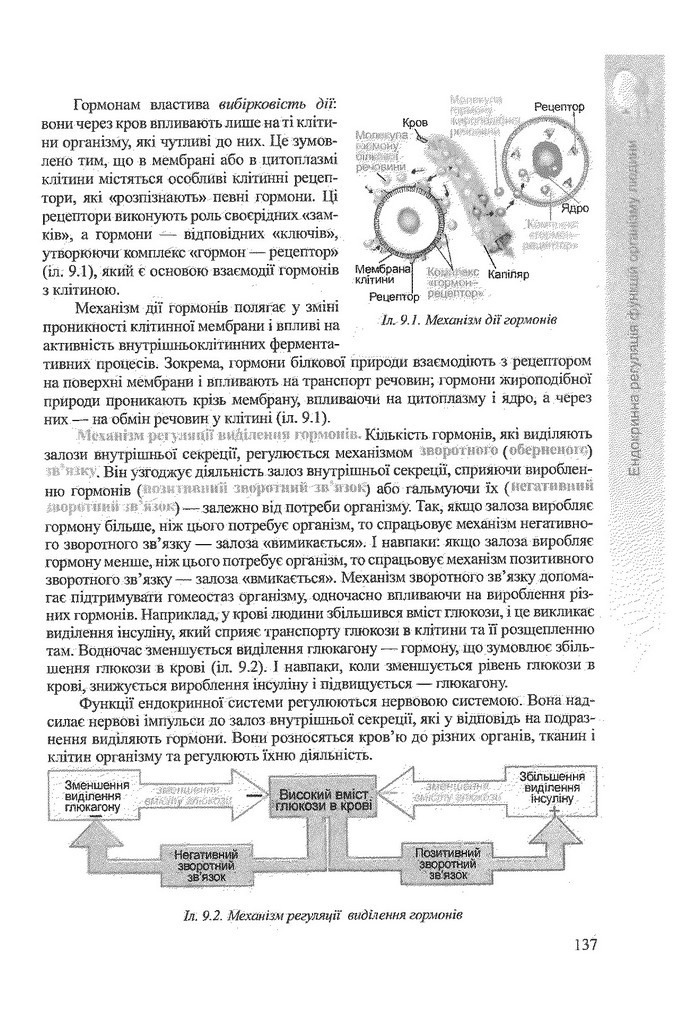 Біологія 9 клас Степанюк