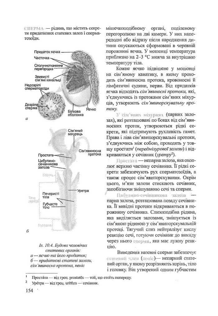 Біологія 9 клас Степанюк