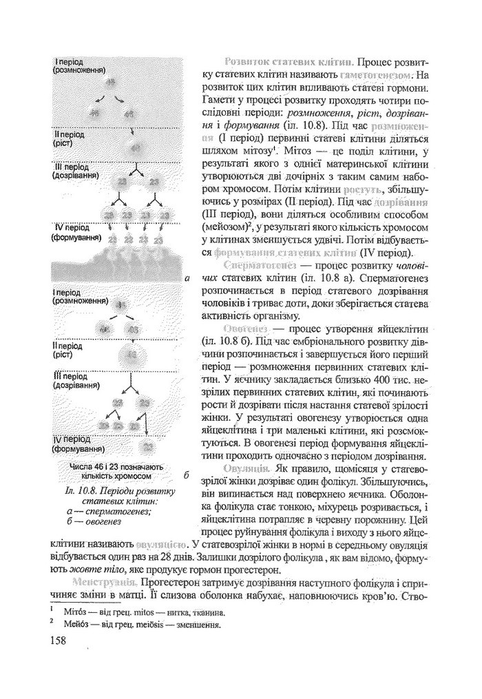 Біологія 9 клас Степанюк