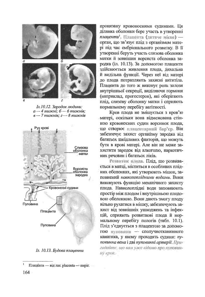 Біологія 9 клас Степанюк