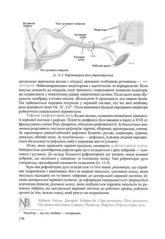 Біологія 9 клас Степанюк