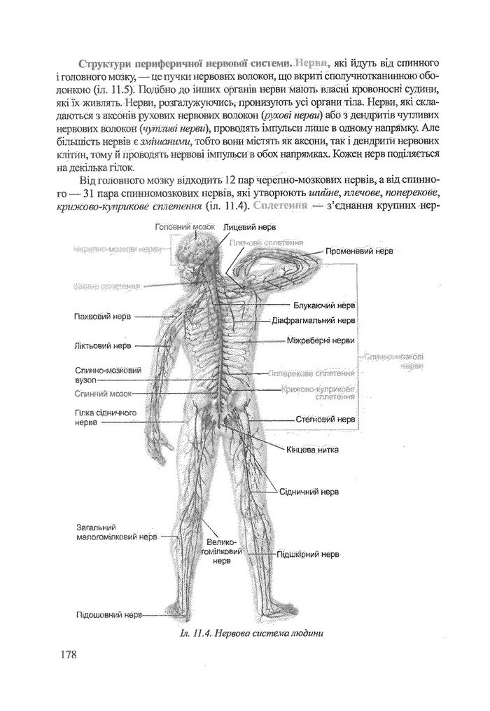 Біологія 9 клас Степанюк