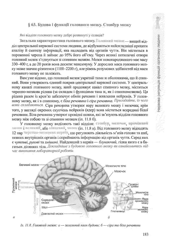 Біологія 9 клас Степанюк