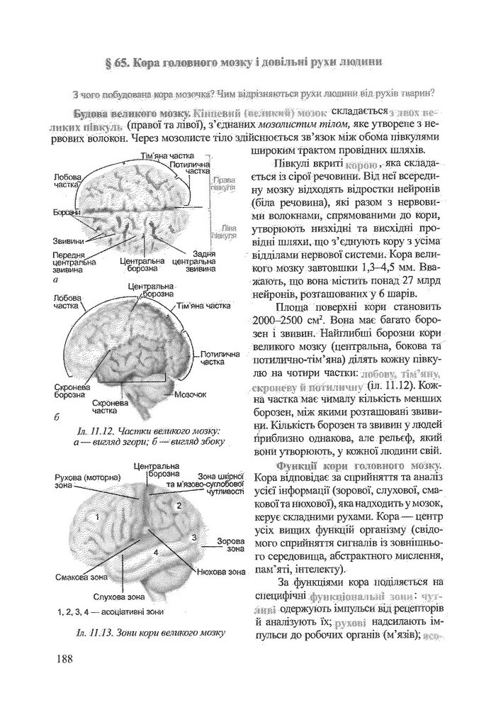 Біологія 9 клас Степанюк