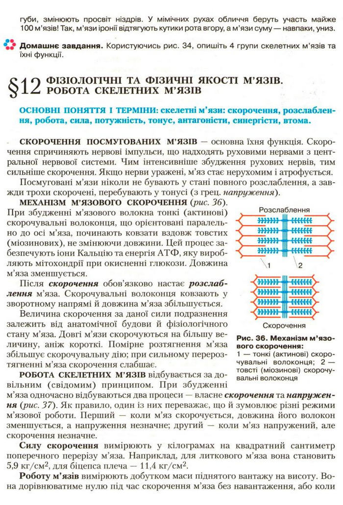 Підручник Біологія 9 клас Страшко