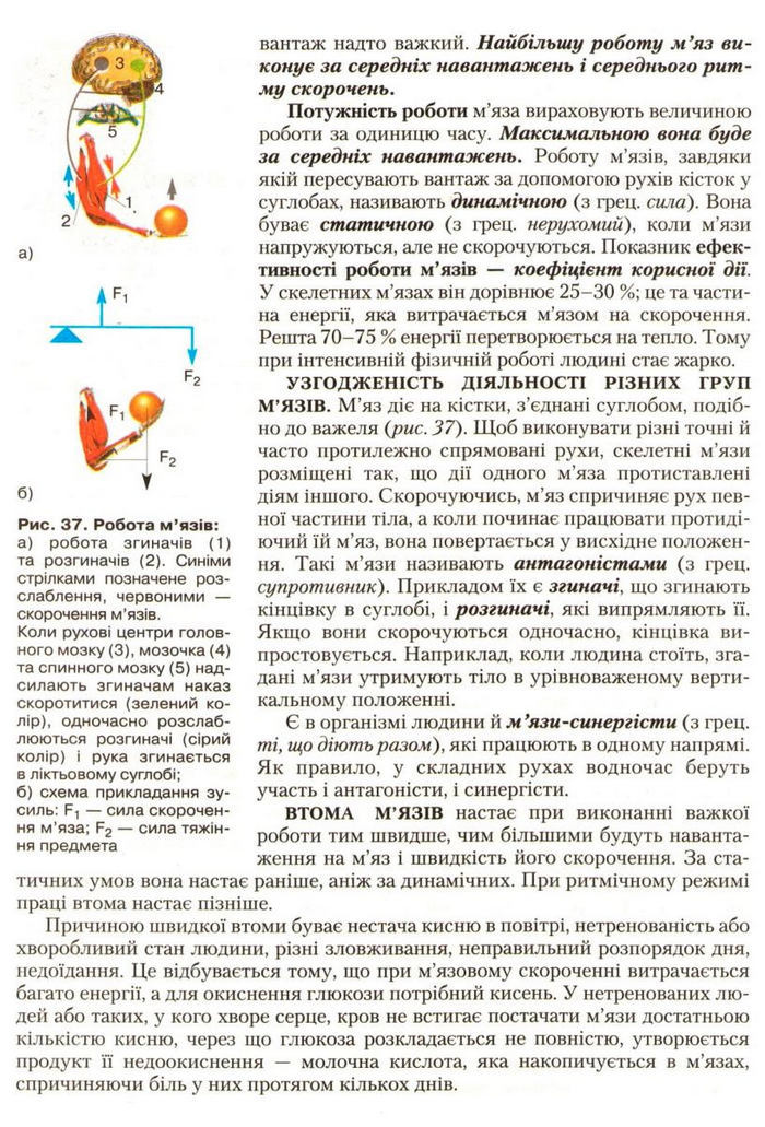 Підручник Біологія 9 клас Страшко