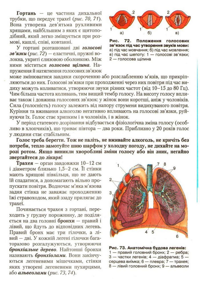 Підручник Біологія 9 клас Страшко