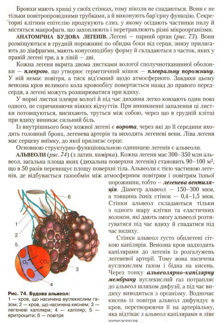 Підручник Біологія 9 клас Страшко