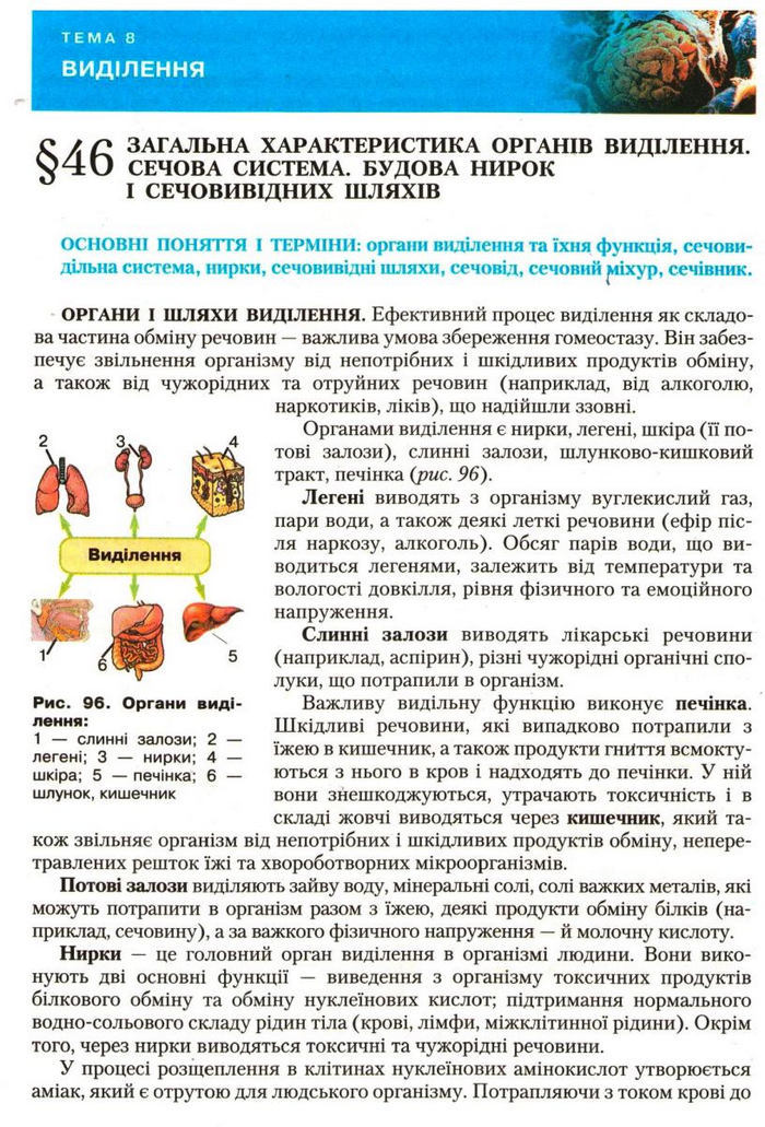 Підручник Біологія 9 клас Страшко