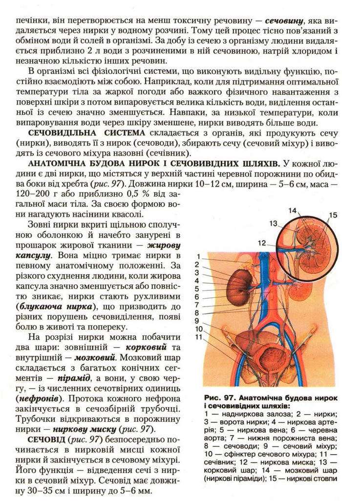 Підручник Біологія 9 клас Страшко