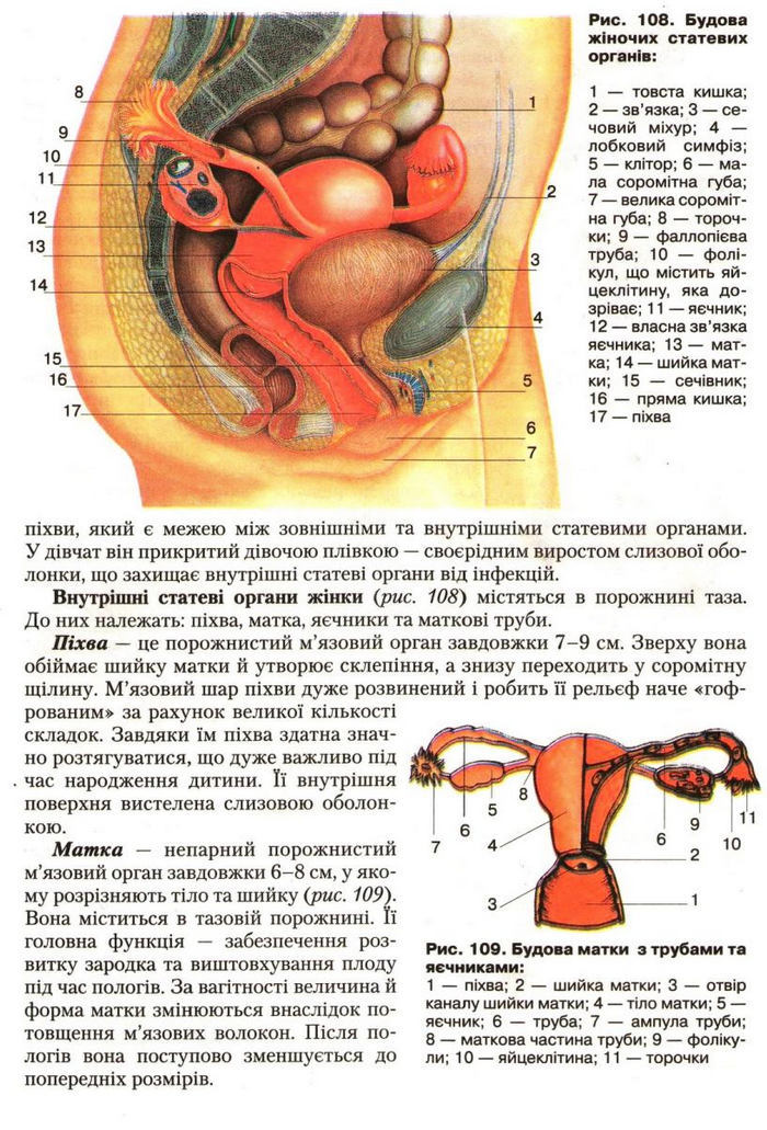 Підручник Біологія 9 клас Страшко