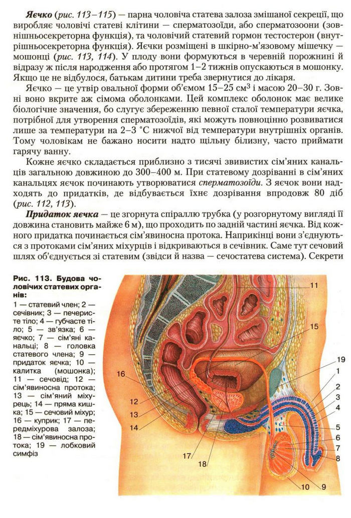 Підручник Біологія 9 клас Страшко