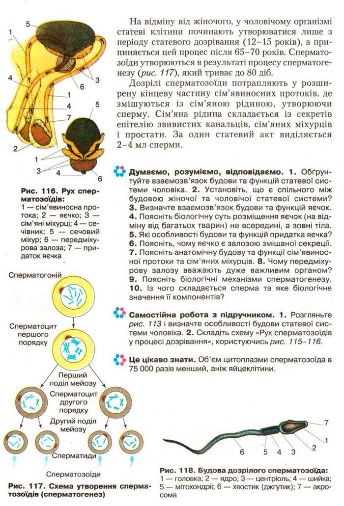 Підручник Біологія 9 клас Страшко