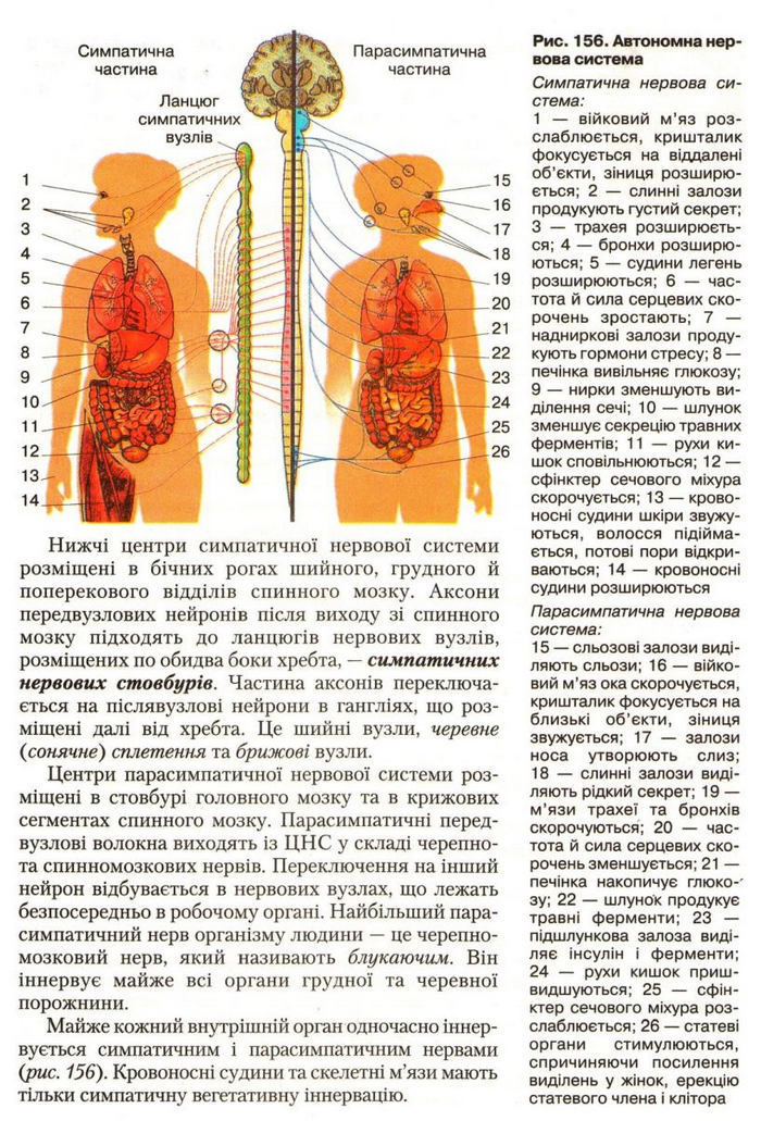 Підручник Біологія 9 клас Страшко