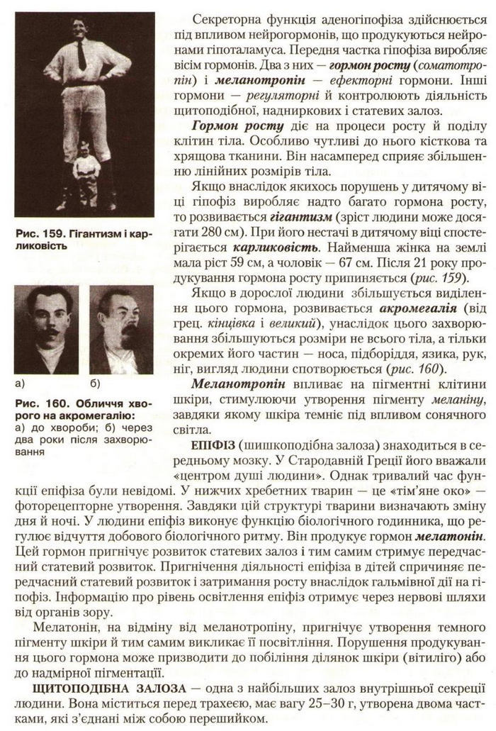 Підручник Біологія 9 клас Страшко