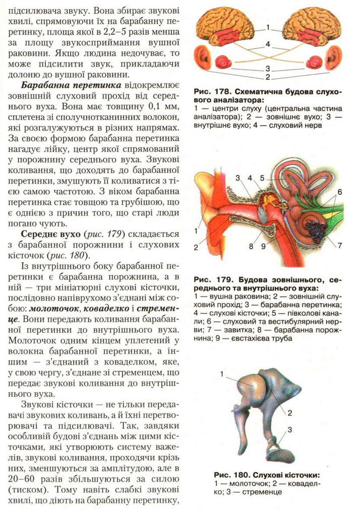 Підручник Біологія 9 клас Страшко