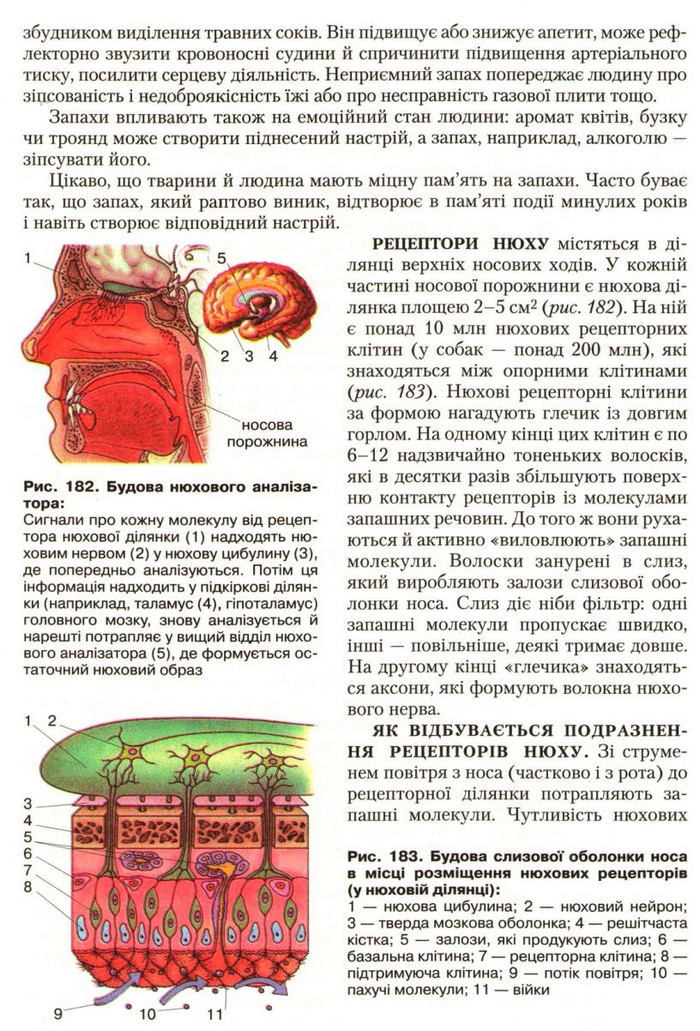 Підручник Біологія 9 клас Страшко