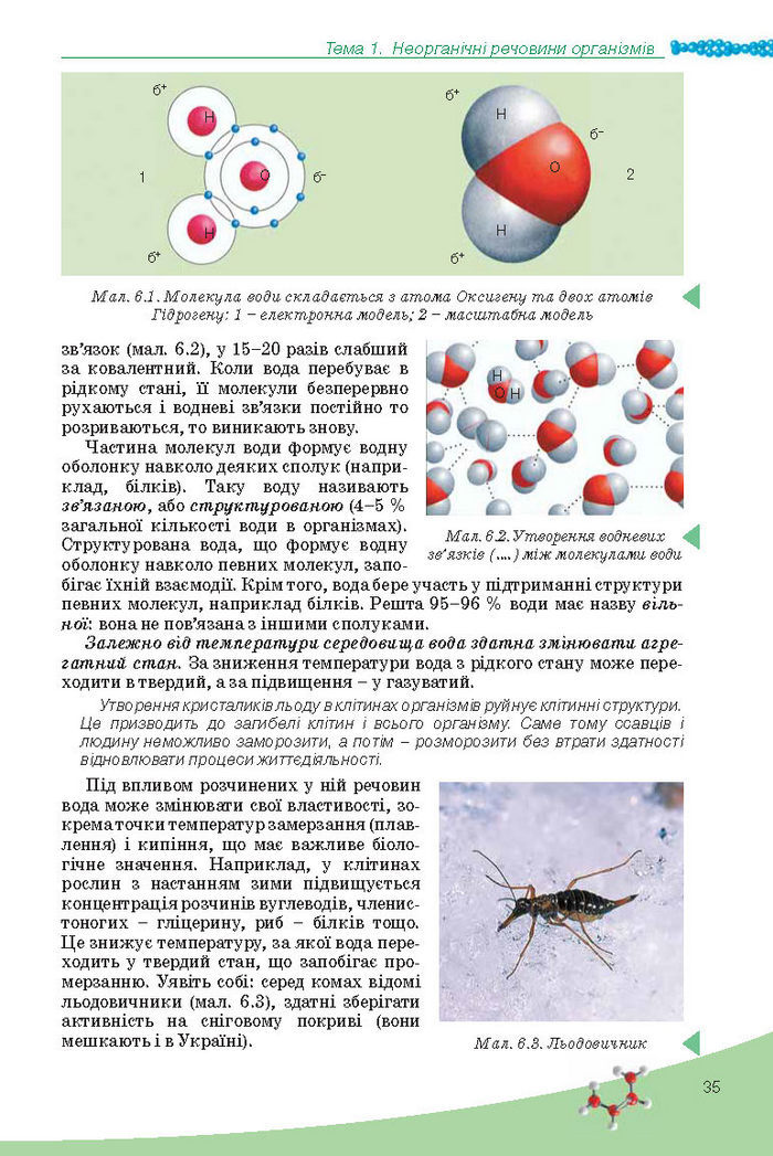 Підручник Біологія 10 клас Балан