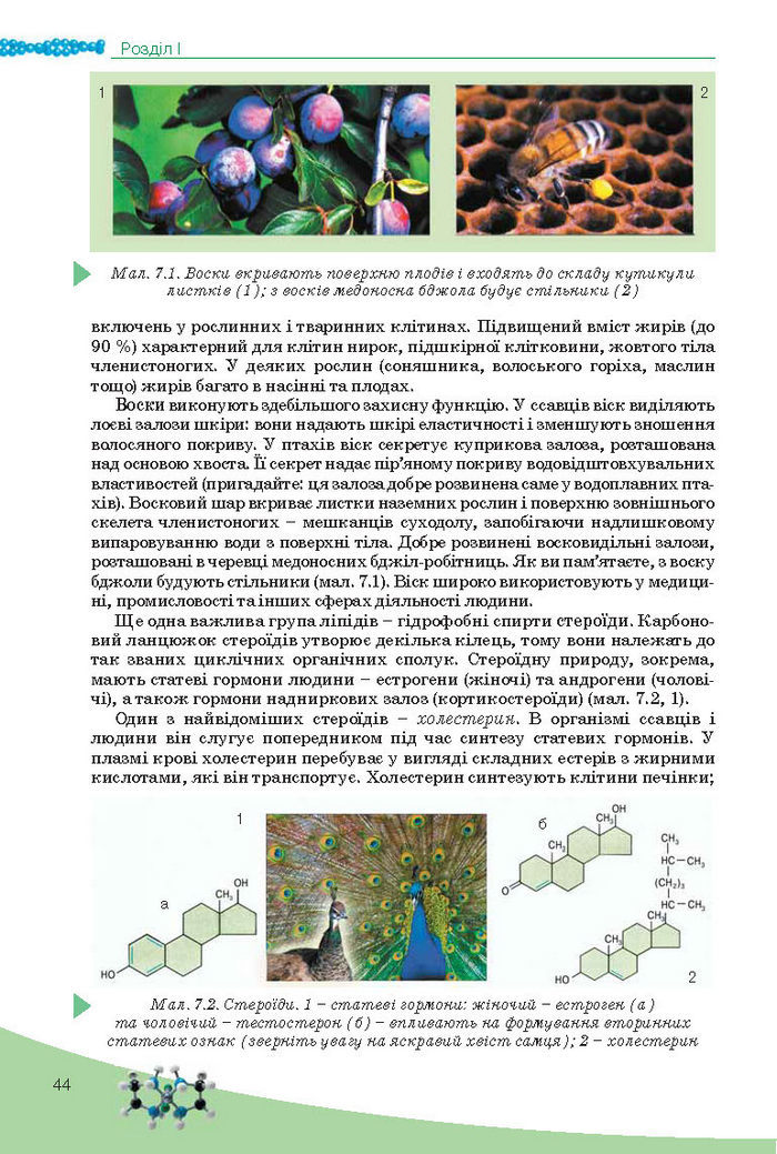 Підручник Біологія 10 клас Балан