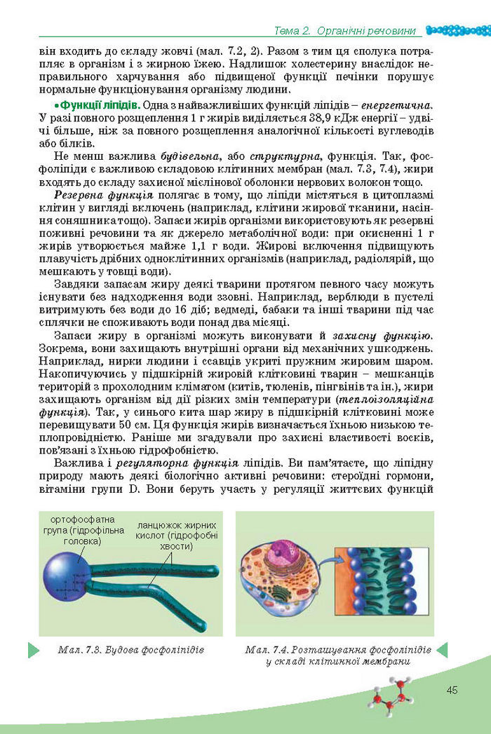 Підручник Біологія 10 клас Балан