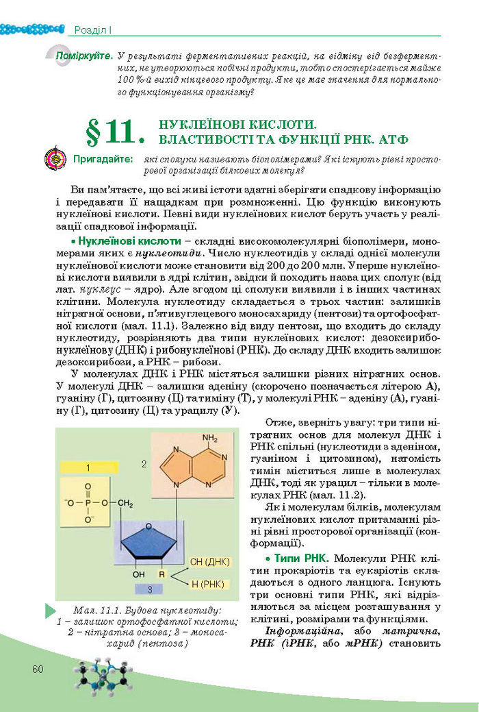 Підручник Біологія 10 клас Балан