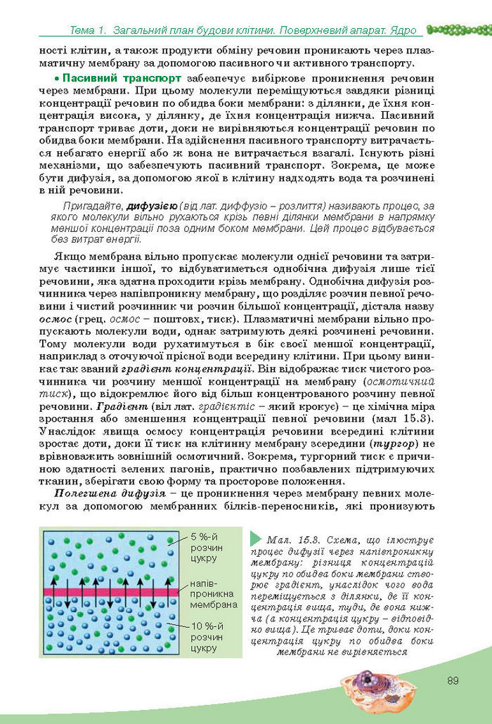 Підручник Біологія 10 клас Балан