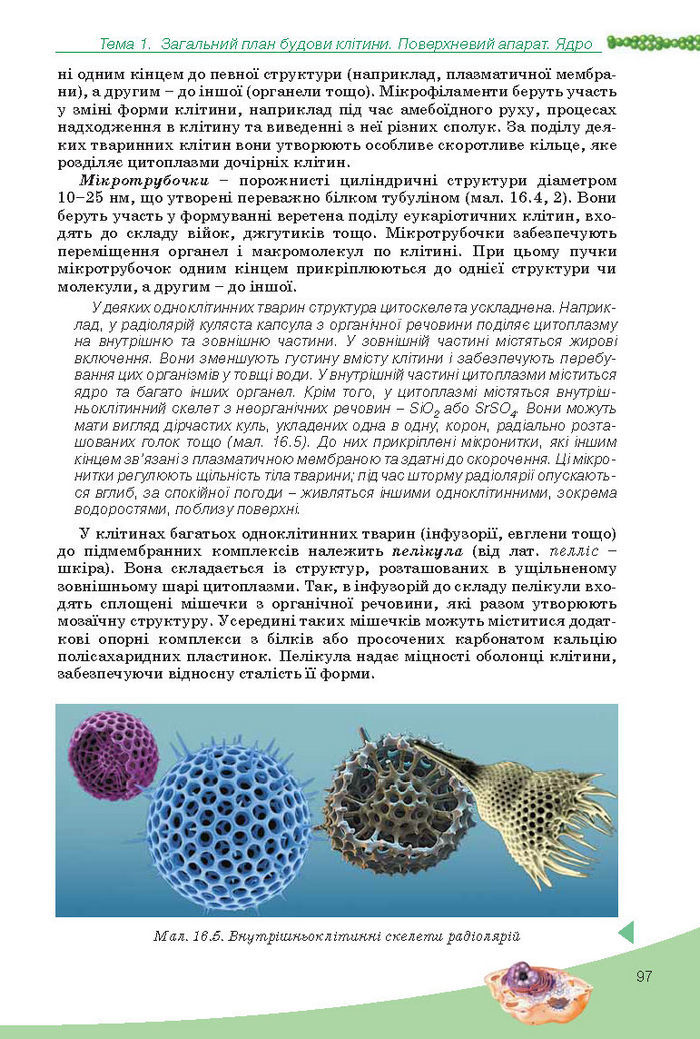 Підручник Біологія 10 клас Балан
