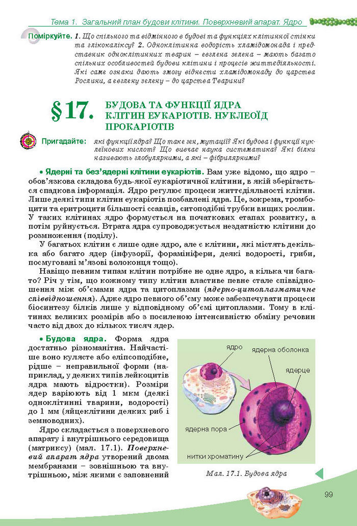 Підручник Біологія 10 клас Балан